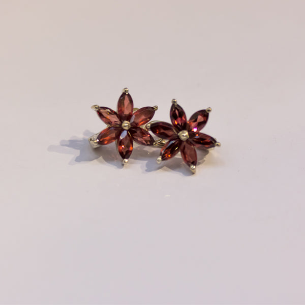 Product 37